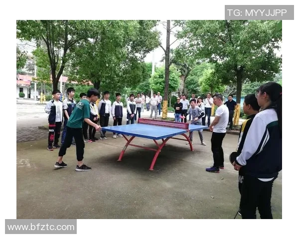 武汉乒乓球队在阵地战中的表现分析与未来发展展望 武汉乒乓球队在阵地战中的表现分析与未来发展展望